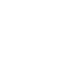 brain icon